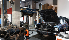 Advanced Maintenance